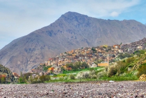 Illallinen ja show Agafayn autiomaassa 1 tunnin mönkijäsafari ja 20 minuutin kameliratsastus