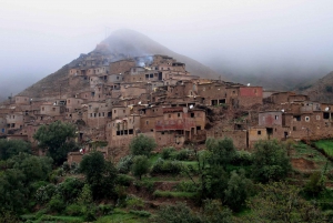 Illallinen ja show Agafayn autiomaassa 1 tunnin mönkijäsafari ja 20 minuutin kameliratsastus