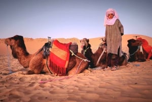 3-Day Desert Adventure: Ouarzazate to Merzouga