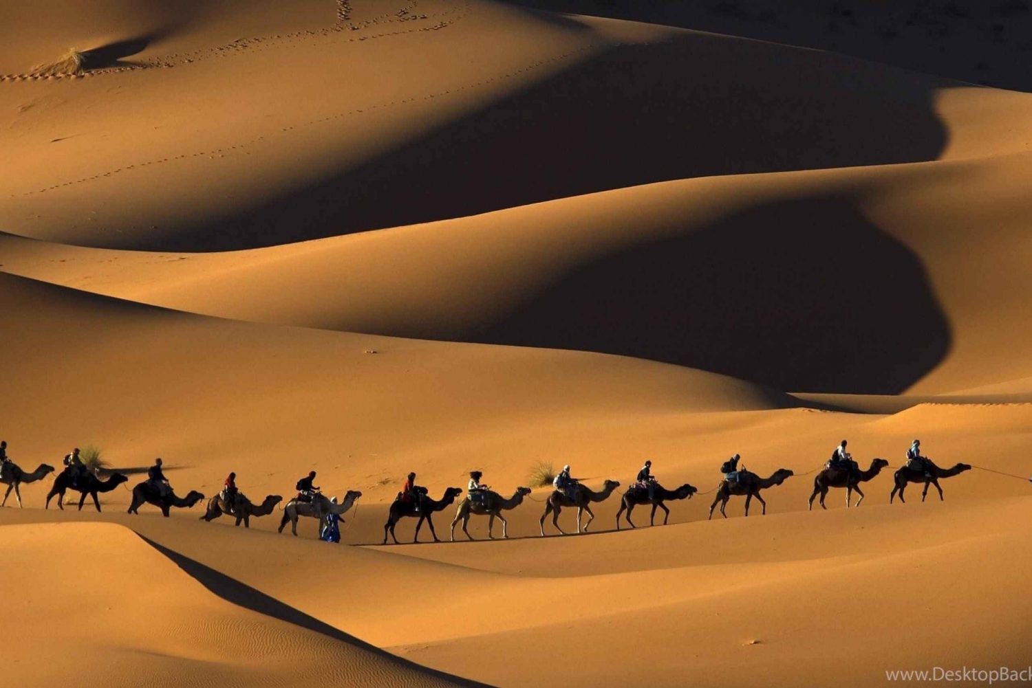 3-tägige Wüstentour Royal Tent Quad & Kamel und Sand