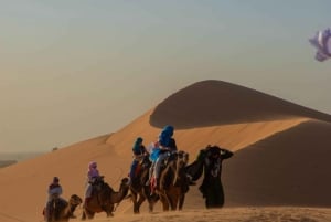 Marrakech: 3-day Merzouga Desert, Quad & Camel + Dinner Show