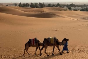 3-dagars lyxäventyr: Marrakech till Merzouga inkl. fyrhjuling/show