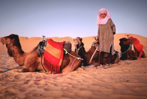 3 Päivä 2 Yö Merzouga Desert Camp Marrakechista kamelilla 3 Päivä 2 Yö Merzouga Desert Camp Marrakechista kamelin kanssa