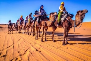 3 Day Luxury Desert Tour From Marrakech To Merzouga