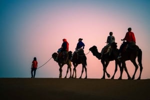 Marrakech to Fes: Quad, Dinner, Camel, 3-Day Desert Tour
