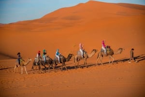 3-dagars tur från Marrakech till Merzouga: Kamel, fyrhjuling, övernattning i läger