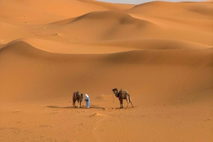 Aventure de luxe de 3 jours : de Marrakech à Merzouga, quad et spectacle inclus.