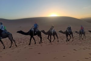 3 Days 2 nights Desert Tour from Marrakech to Merzouga Dunes
