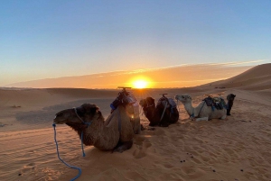 3 Days - 2 Nights Desert Tour From Marrakech with Camel Ride