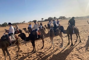 3 Days - 2 Nights Desert Tour From Marrakech with Camel Ride