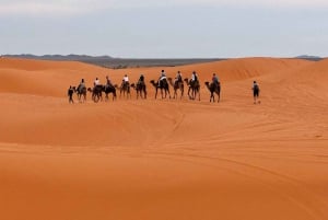 3 Days - 2 Nights Desert Tour From Marrakech with Camel Ride