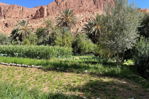 3 jours - 2 nuits de visite nocturne dans le désert à partir de Marrakech avec balade à dos de chameau