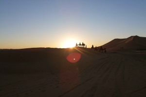 3 jours - 2 nuits de visite nocturne dans le désert à partir de Marrakech avec balade à dos de chameau