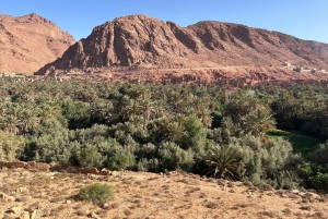 3 jours - 2 nuits de visite nocturne dans le désert à partir de Marrakech avec balade à dos de chameau