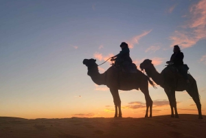 3 dage og 2 nætters ørkentur til Marrakech fra Fes