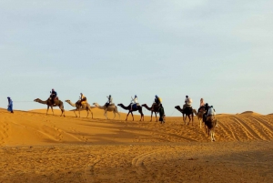 3 Days Desert Trip To Merzouga From Marrakech Camel Trek