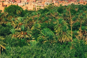 3 Tage Luxus-Camp-Aufenthalt mit Sandsurfing von Fes nach Marrakech