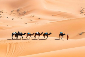 3-tägige Marokko Wüstentour von Marrakesch nach Fes
