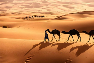 3 päivän Marokon aavikkoretki Marrakechista Fesiin