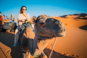 Marrakechista: Marzougan aavikkokierros kameliratsastuksen kanssa