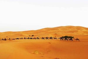 Excursión de 3 días por el desierto del Sáhara marroquí de Marrakech a Fez