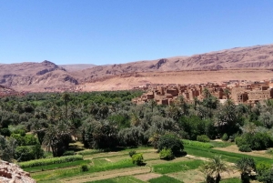 Tour di 3 giorni nel deserto del Sahara in Marocco da Marrakech a Fes