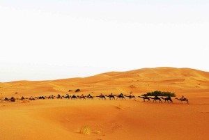 Tour di 3 giorni nel deserto del Sahara in Marocco da Marrakech a Fes