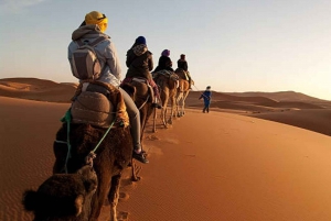 Marrakech: 3 päivän ylellinen aavikkokierros Fesiin Merzougan kautta.