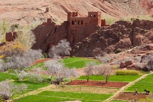 Marrakech: 3 päivän ylellinen aavikkokierros Fesiin Merzougan kautta.