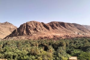 3 Days Sahara Tour From Marrakech To Merzouga Desert