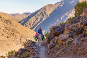 3 Days Trek Atlas Mountains Berber Villages from Marrakech