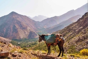 3 Days Trek Atlas Mountains Berber Villages from Marrakech