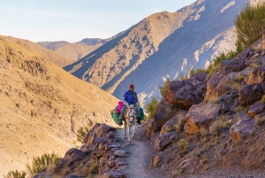 3 Days Trek Atlas Mountains Berber Villages from Marrakech