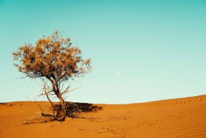 4 päivän seikkailu Marrakechista Erg Chegagaan Saharassa