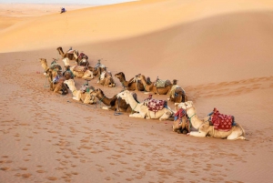 4 päivän seikkailu Marrakechista Erg Chegagaan Saharassa