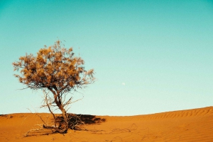 4 Day Adventure from Marrakech to Erg Chegaga in the Sahara