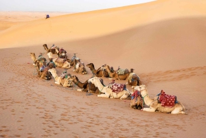 4 Day Adventure from Marrakech to Erg Chegaga in the Sahara