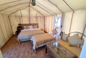 Excursão fantástica de 4 dias no deserto de Fez a Marrakech via deserto