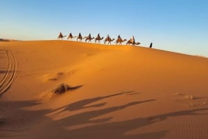 4 Days from Marrakech to Fes via Merzouga Desert