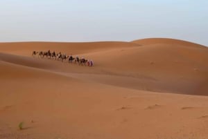 4 Days from Marrakech to Fes via Merzouga Desert