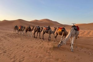 4 Days from Marrakech to Fes via Merzouga Desert