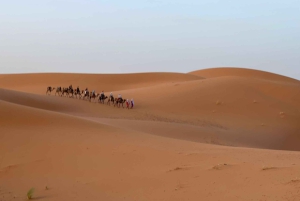 4 Tage Sahara Wüsten Tour von Marrakesch zu den Merzouga Dünen
