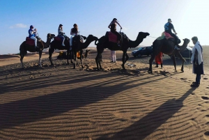 Buggy ride with camels and dinner show in agafay desert