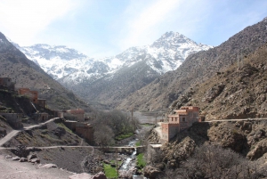 Ein Tag mit den Berbern - Tagesausflug in die drei Täler ab Marrakesch
