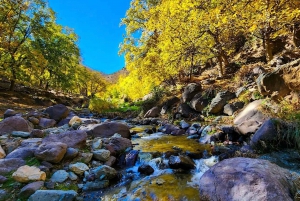 Ein Tag mit den Berbern - Tagesausflug in die drei Täler ab Marrakesch