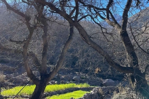 Ein Tag mit den Berbern - Tagesausflug in die drei Täler ab Marrakesch