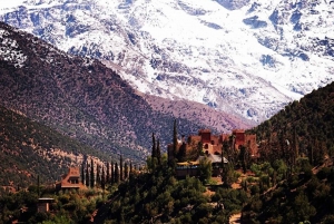 Ein Tag mit den Berbern - Tagesausflug in die drei Täler ab Marrakesch