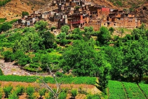 Ein Tag mit den Berbern - Tagesausflug in die drei Täler ab Marrakesch