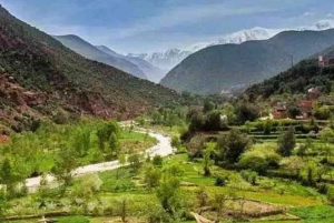 A Day With The Berbers - 3 Valleys Day Trip from Marrakech