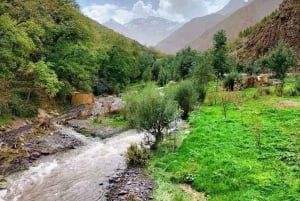 A Day With The Berbers - 3 Valleys Day Trip from Marrakech